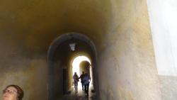 Allée couverte