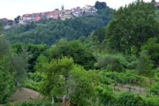 Bolano, le troisi�me jour